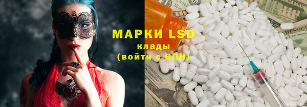 PSILOCYBIN Беломорск