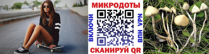Псилоцибиновые грибы Magic Shrooms  Купить где  Ужур 